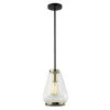 Hopewell Collection 1-Light Black and Gold Pendant with Clear Bubble Glass Shade by BELDI