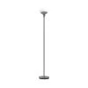 69 in. Brushed Nickel Steel Floor Lamp with Acid Etched Glass Lens by Euri Lighting