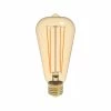40W Equivalent Warm White (2200K) ST19 Dimmable Amber LED Light Bulb by Euri Lighting