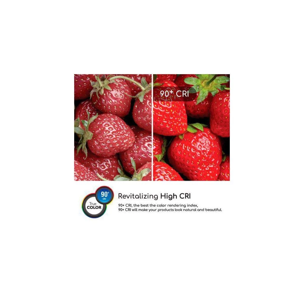 60-Watt Equivalent A19 ENERGY STAR, CEC and Dimmable LED Light Bulb in Warm White (10-Pack) by Euri Lighting - Image 6